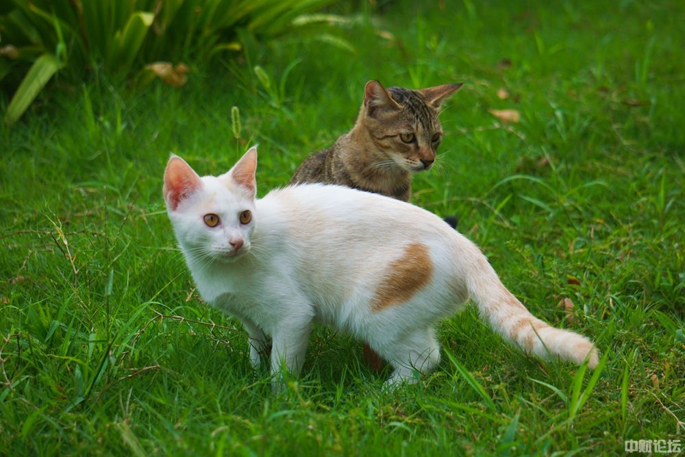 2607663475e294b789.jpg 2607663475e294b789.jpg