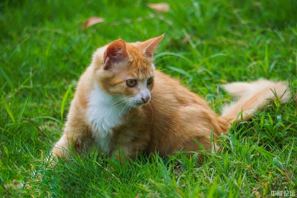 839046348b4524de43.jpg 839046348b4524de43.jpg