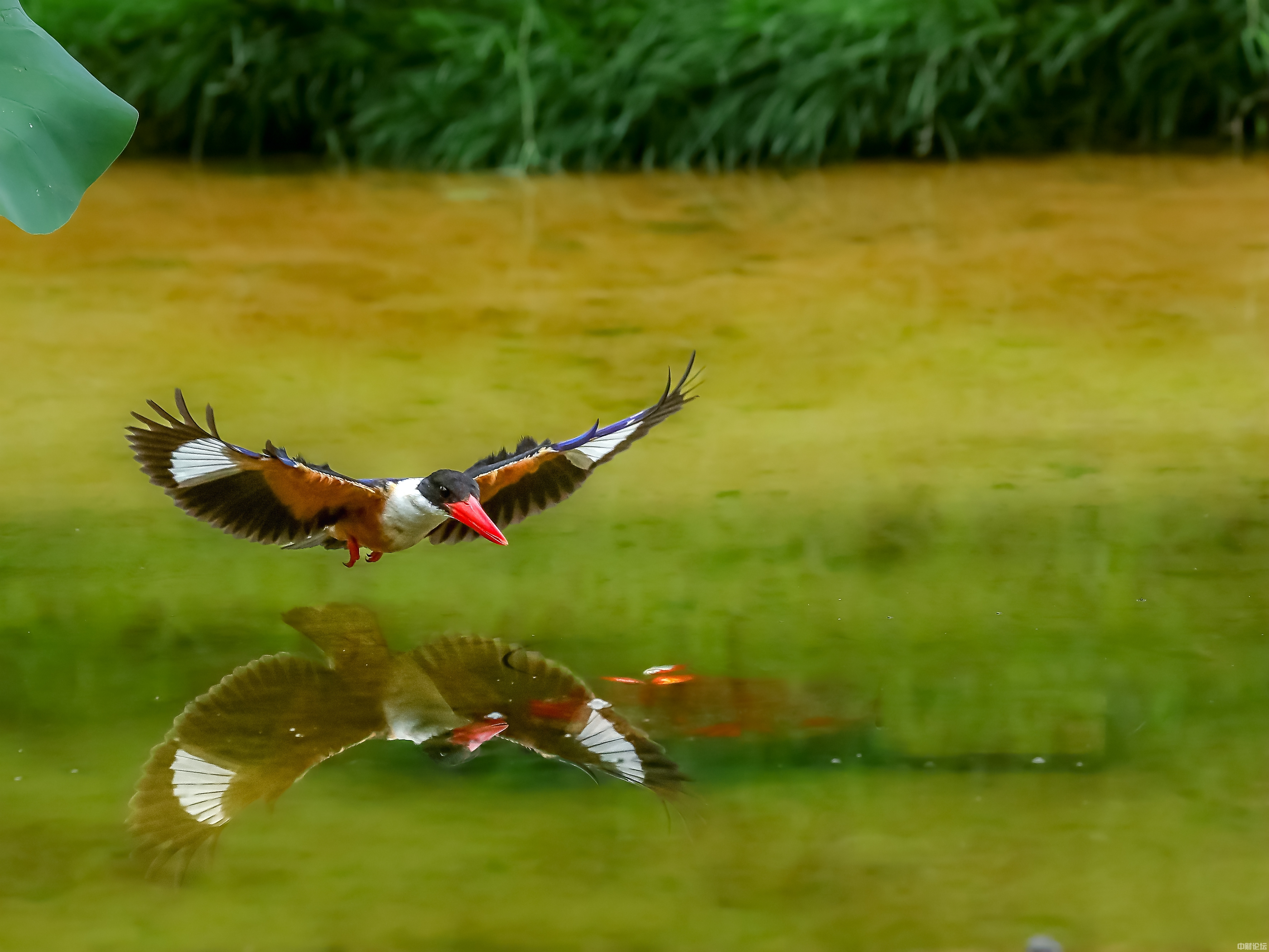 64663634df19fe6a5d.jpg 64663634df19fe6a5d.jpg