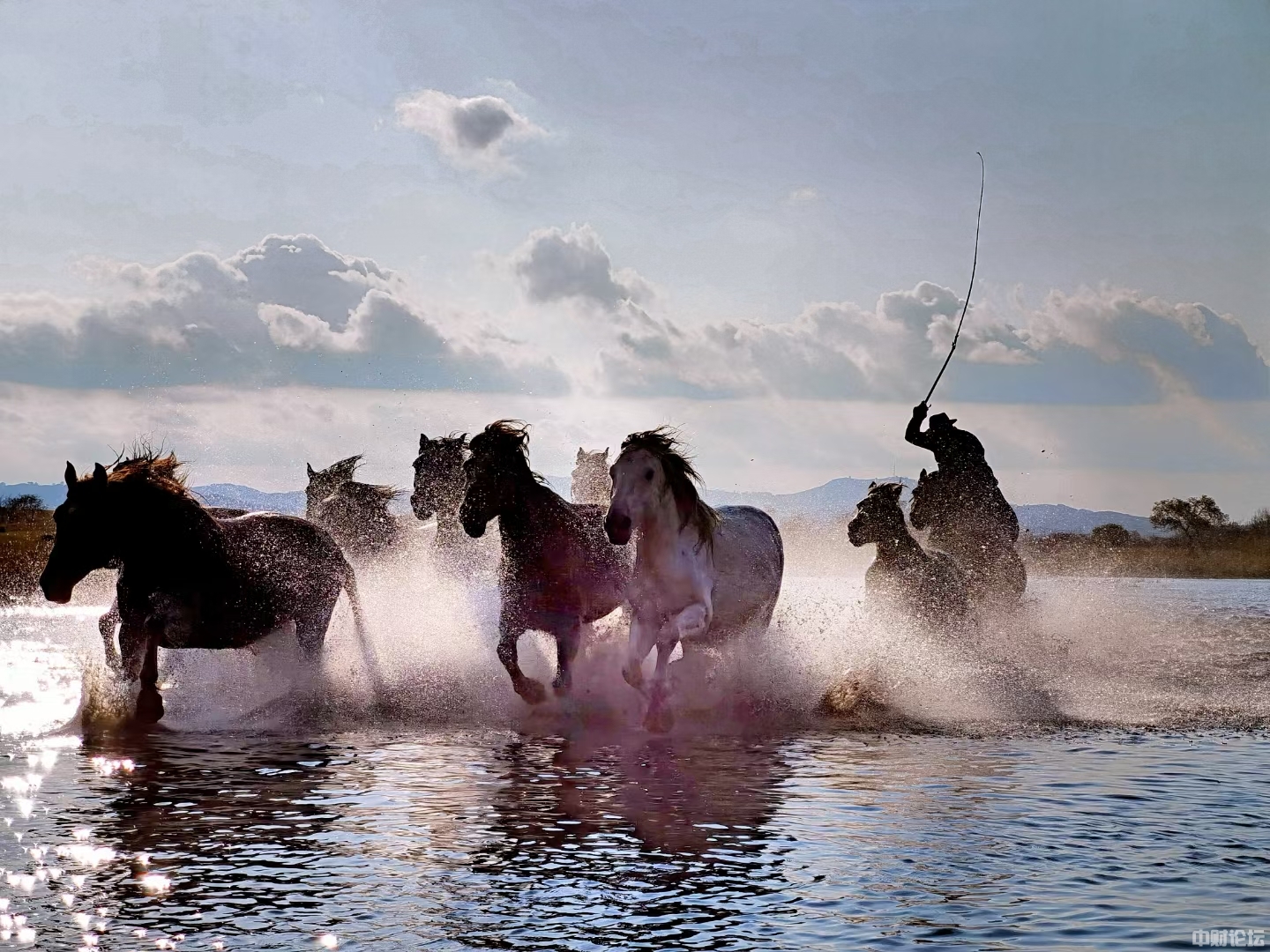 62175634f428e28180.jpg 62175634f428e28180.jpg