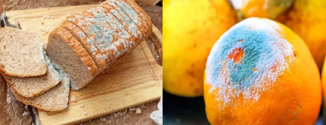 3326563b622f5062c3.jpg 3326563b622f5062c3.jpg