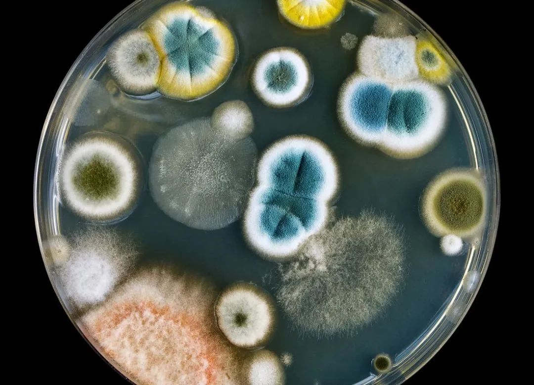 9927463b6231b45a10.jpg 9927463b6231b45a10.jpg