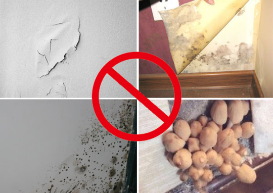 6539763bf57dc15576.png 微信图片_20230112083013.png