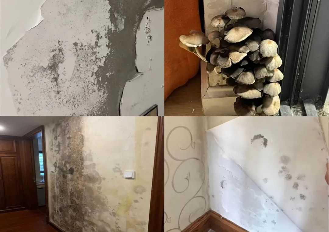 7979563bf57ccbfc1c.jpg 7979563bf57ccbfc1c.jpg