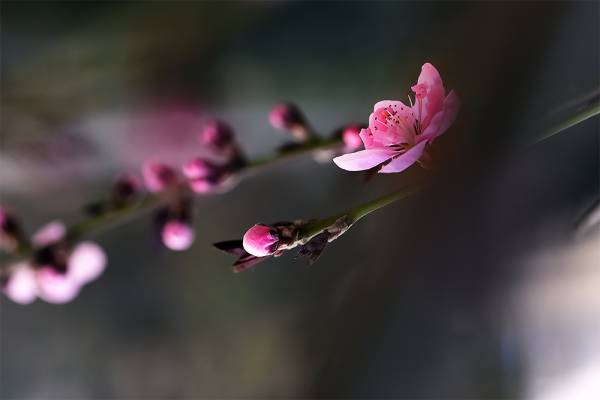 11627646337f1ad1a9.jpg 11627646337f1ad1a9.jpg