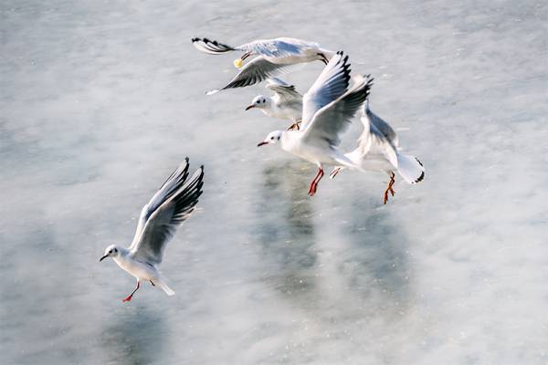 2719664633a37988e8.jpg 2719664633a37988e8.jpg