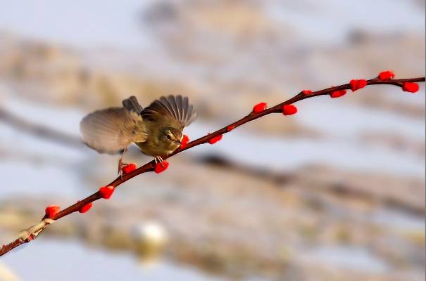 4355464633b0d54b2e.jpg 4355464633b0d54b2e.jpg