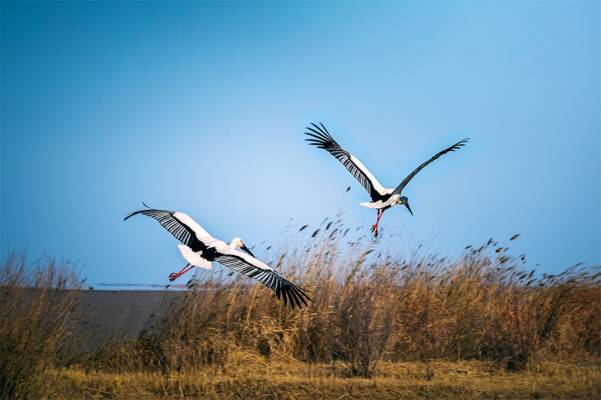 52340646339db23e7e.jpg 52340646339db23e7e.jpg