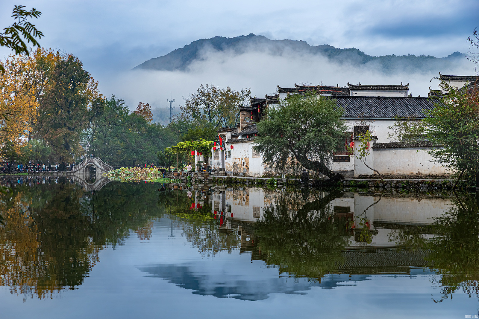 569436462d18b384a4.jpg 569436462d18b384a4.jpg