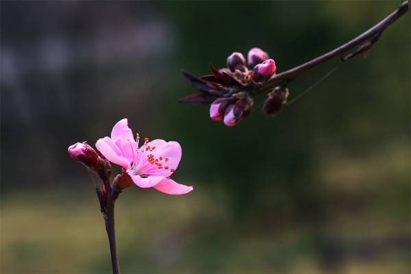 6708564633ac32f215.jpg 6708564633ac32f215.jpg