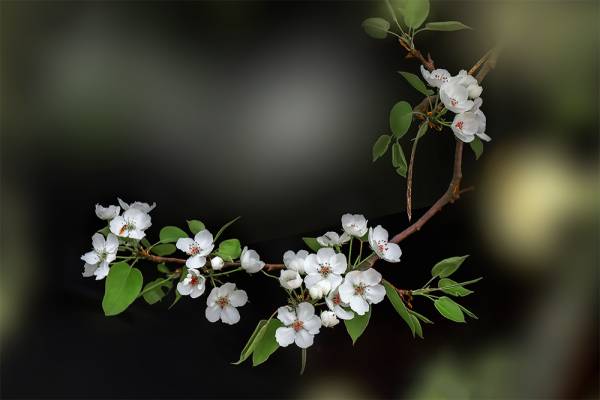 7545164633838c51a6.jpg 7545164633838c51a6.jpg