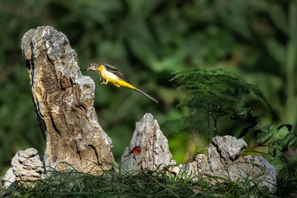 86343646337a80db81.jpg 86343646337a80db81.jpg