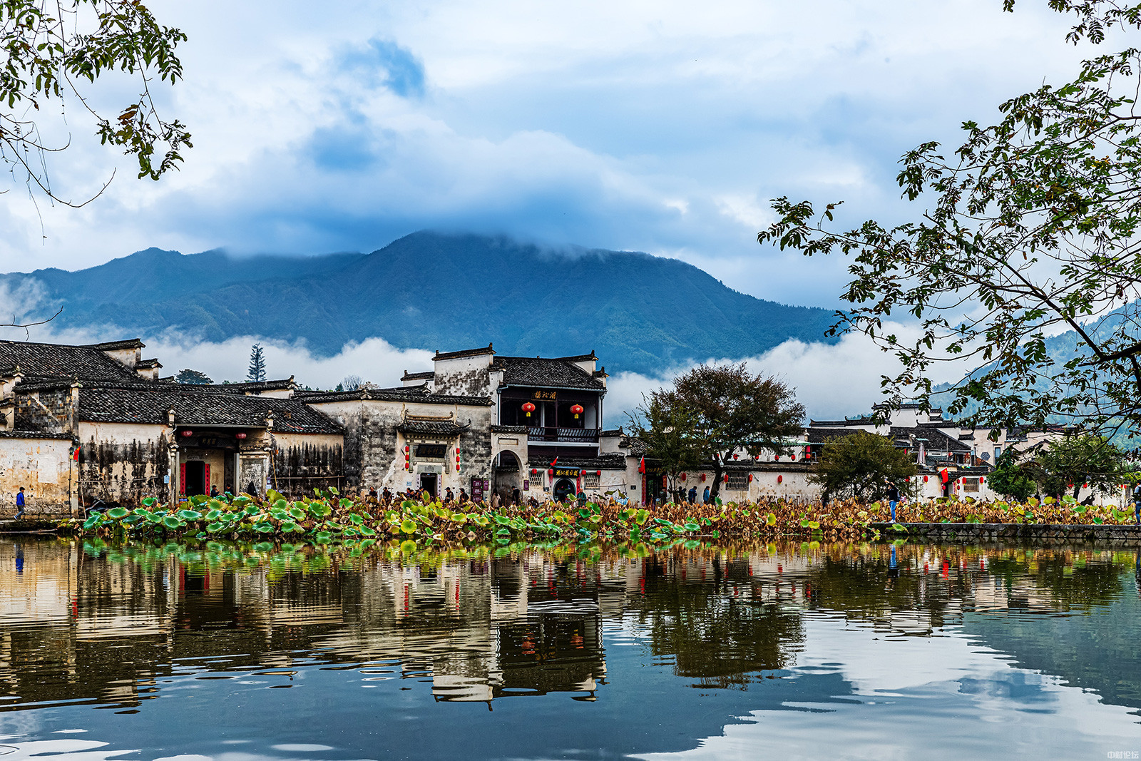 441936465702070c5a.jpg 441936465702070c5a.jpg