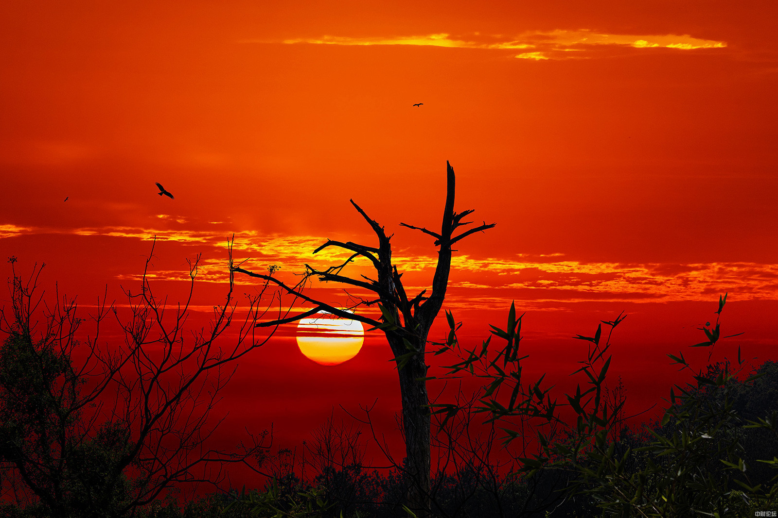 31349646c09ce36ae4.jpg 31349646c09ce36ae4.jpg