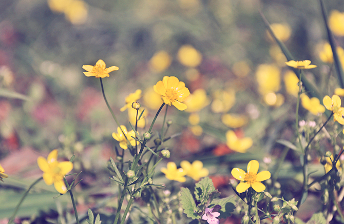 677206486681c1117e.jpg 677206486681c1117e.jpg