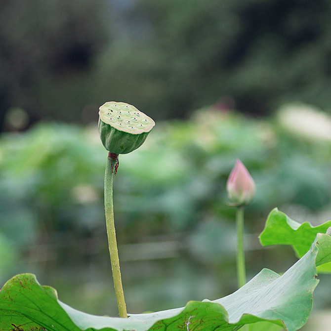 76485649e240e6e2eb.jpg 76485649e240e6e2eb.jpg