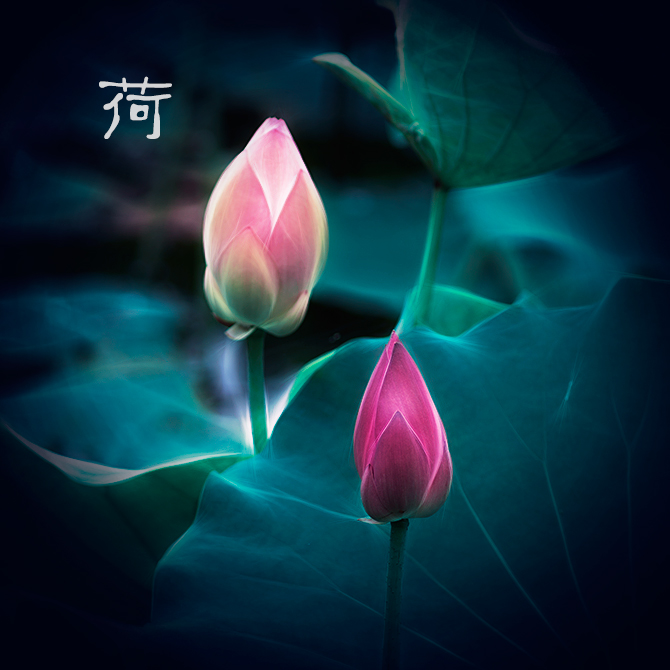 2025864a21a546c185.jpg 2025864a21a546c185.jpg