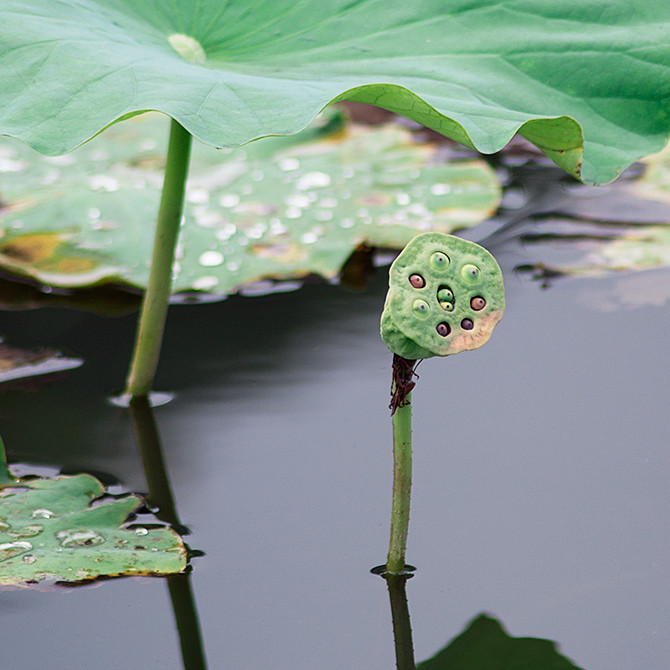 2118764a36577d0308.jpg 2118764a36577d0308.jpg