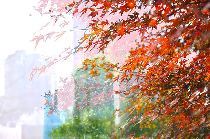 9019764a60a48866e9.jpg 9019764a60a48866e9.jpg