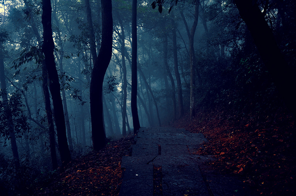 7901464ab527a8971f.jpg 7901464ab527a8971f.jpg