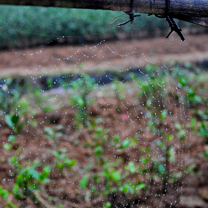 1890964aca14fd680a.jpg 1890964aca14fd680a.jpg