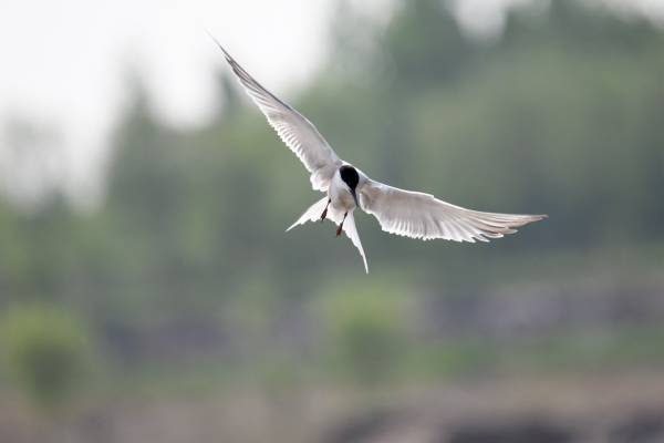 1019564adf3a173046.jpg 1019564adf3a173046.jpg