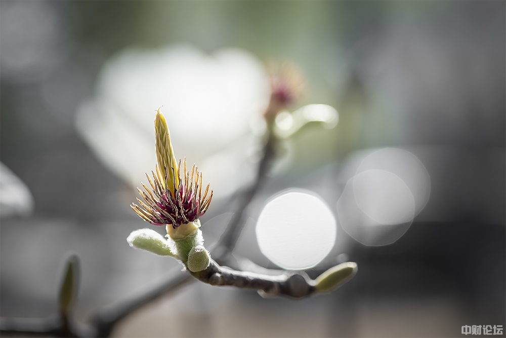 9531064af54e49dcdb.jpg 9531064af54e49dcdb.jpg