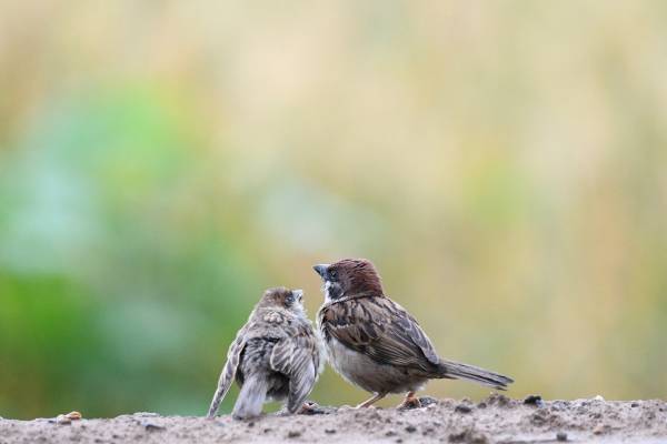 2584564b095d5227dc.jpg 2584564b095d5227dc.jpg