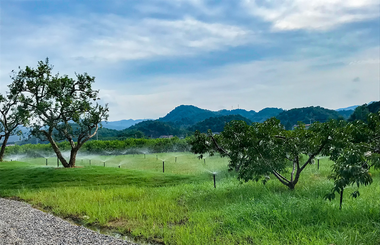 1118564b9eb6a1d91b.jpg 1118564b9eb6a1d91b.jpg