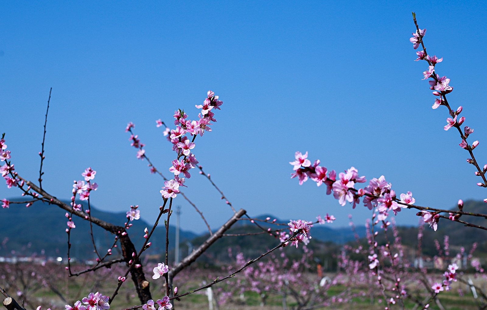 1391164b9eb8017f87.jpg 1391164b9eb8017f87.jpg