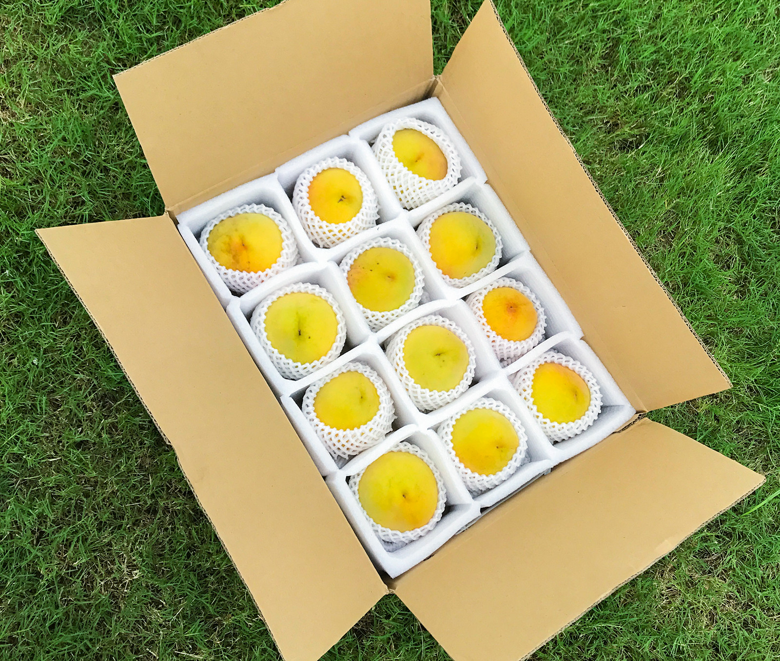 1588664b9ed573bfec.jpg 1588664b9ed573bfec.jpg