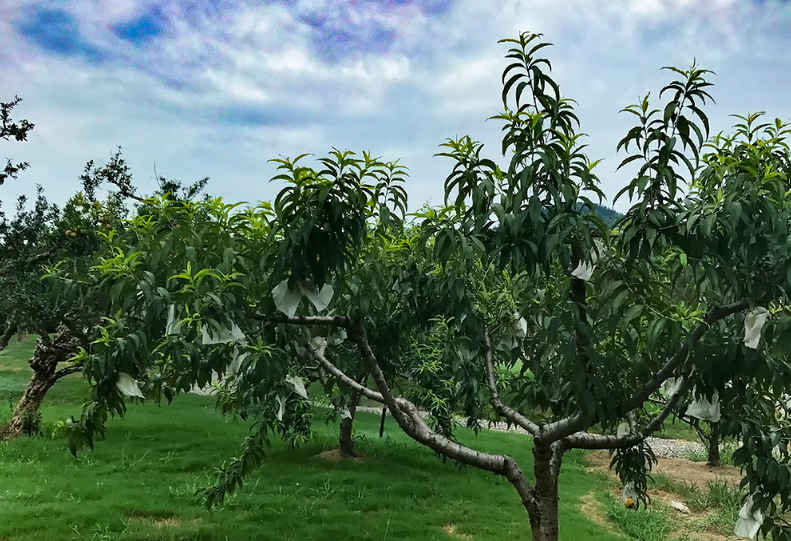 5856864b9eb9388897.jpg 5856864b9eb9388897.jpg