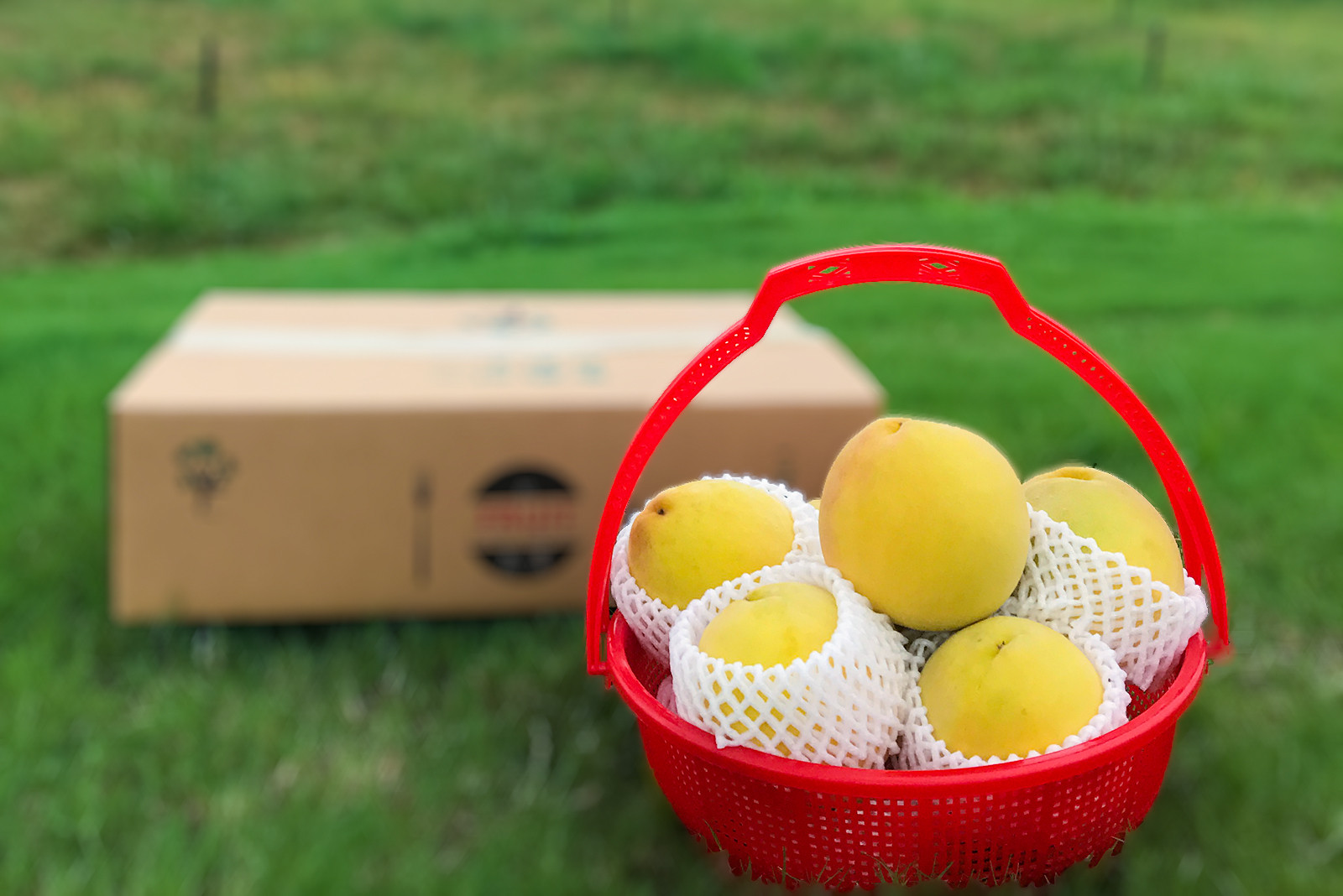 7143364b9ebab22c1c.jpg 7143364b9ebab22c1c.jpg