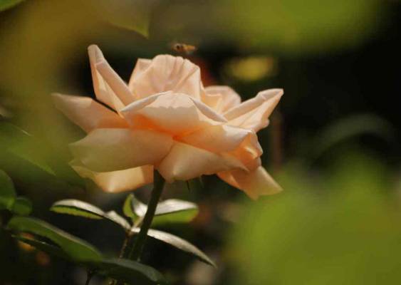 554416530769f07972.jpg 554416530769f07972.jpg