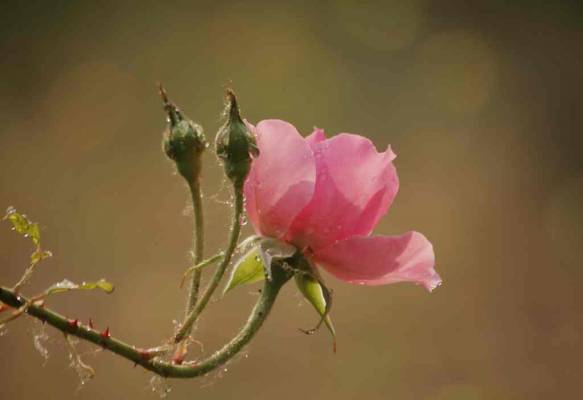 928256539b5bfde3f5.jpg 928256539b5bfde3f5.jpg