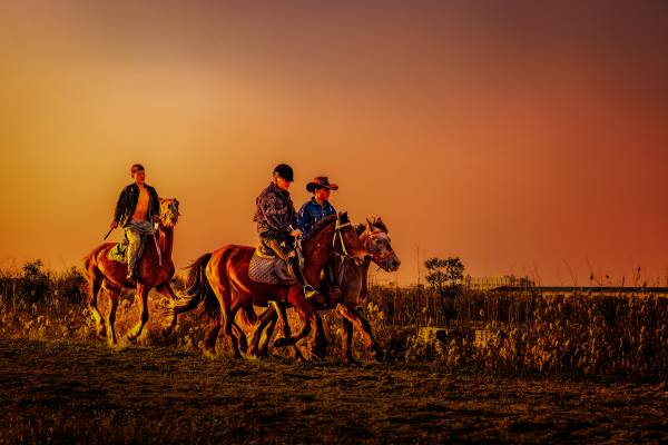 2249465404dc7f1be9.jpg 2249465404dc7f1be9.jpg