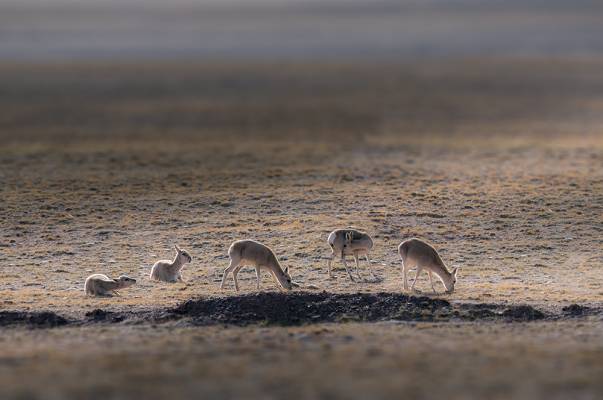 476326567d7feea6ba.jpg 476326567d7feea6ba.jpg