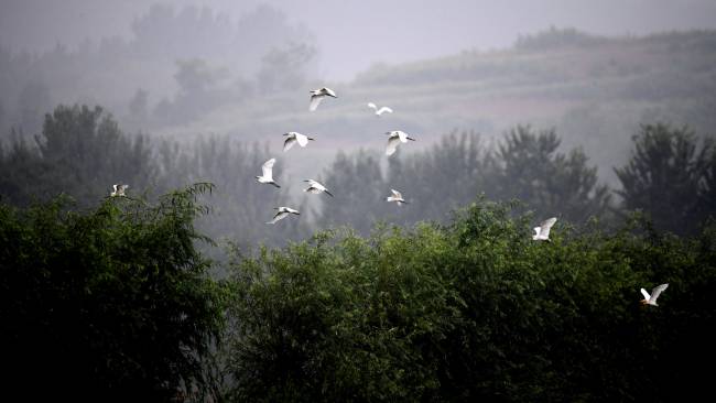 65a9c3abe0e46.jpg 65a9c3abe0e46.jpg