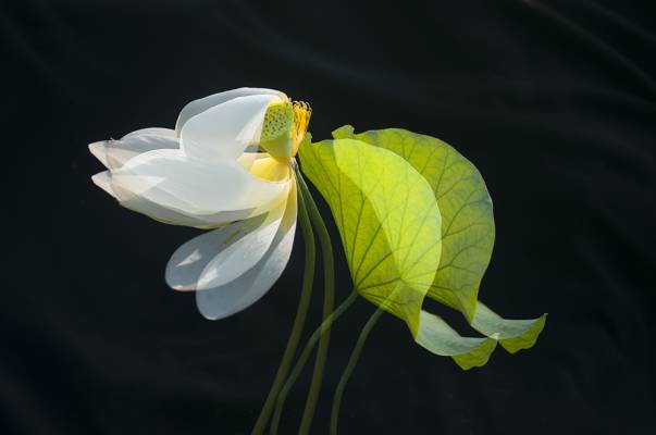 65d543b8c8507.jpg 65d543b8c8507.jpg