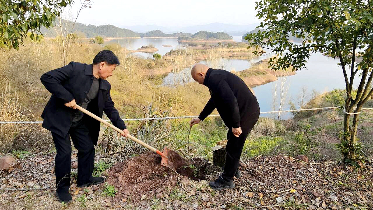 65f1586ddc55d.jpg 65f1586ddc55d.jpg