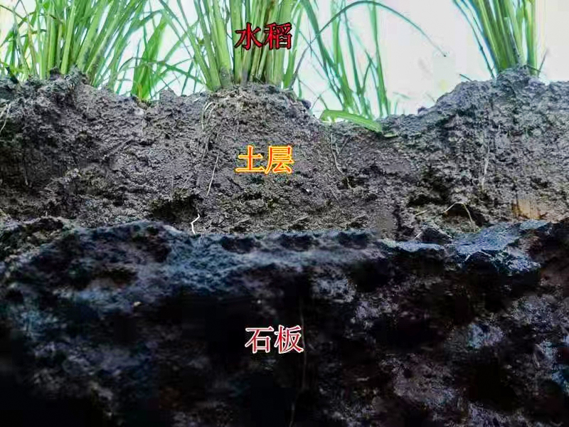 66138d59070a5.jpg 66138d59070a5.jpg