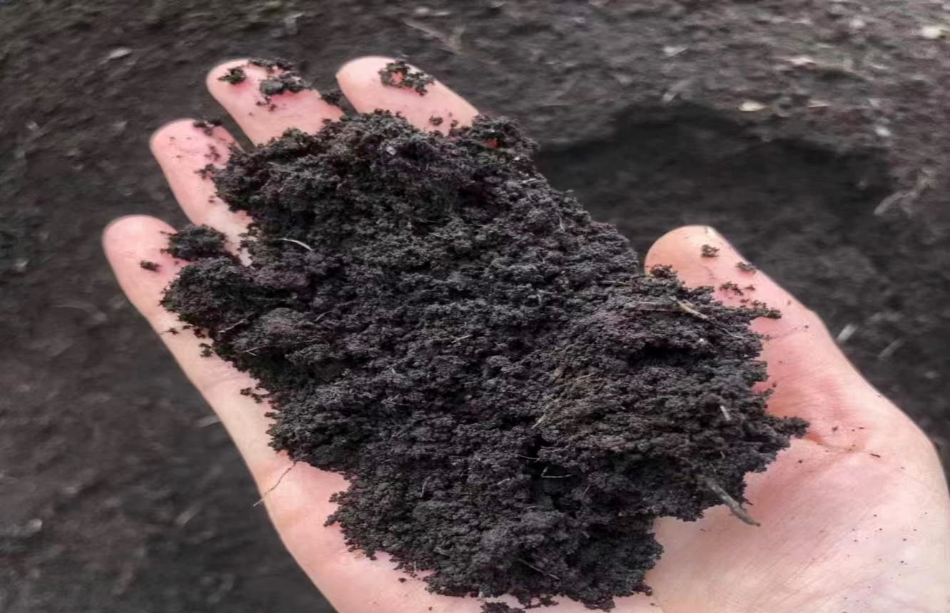 66138d705ccdb.jpg 66138d705ccdb.jpg