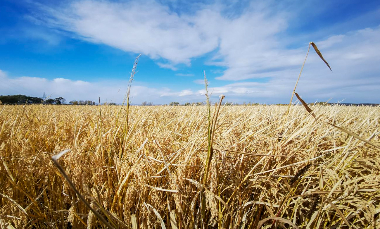 66138da4c11b5.jpg 66138da4c11b5.jpg