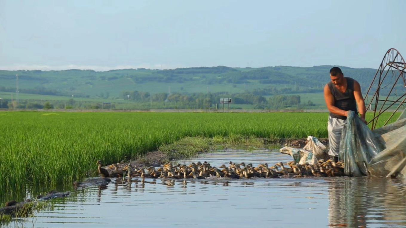 66138dc02b868.jpg 66138dc02b868.jpg