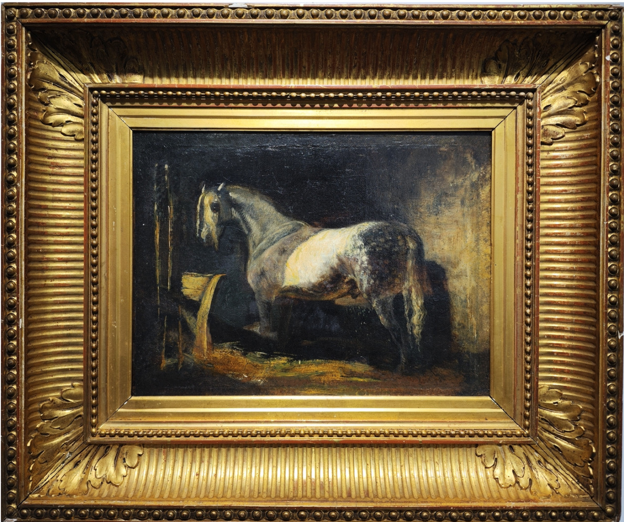 66a73b9811312.jpg 66a73b9811312.jpg