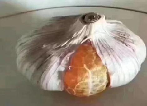 66aaf025d2c6c.png 66aaf025d2c6c.png