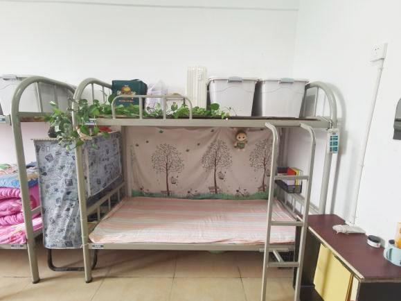 67fc5c78d1d34.jpg 67fc5c78d1d34.jpg