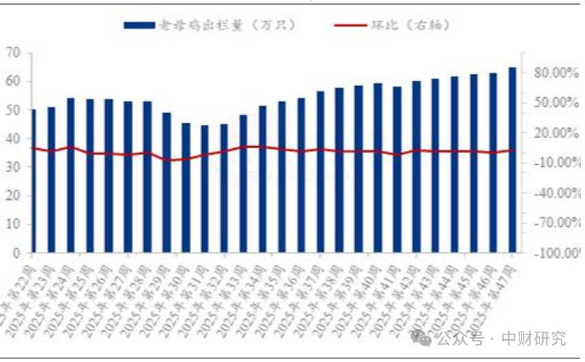 69312a6915f1c.png 69312a6915f1c.png