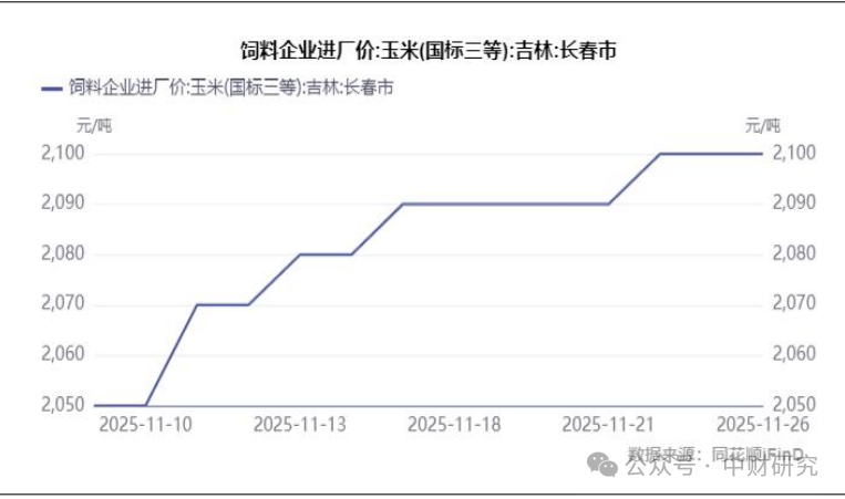 69312b0134b81.png 69312b0134b81.png