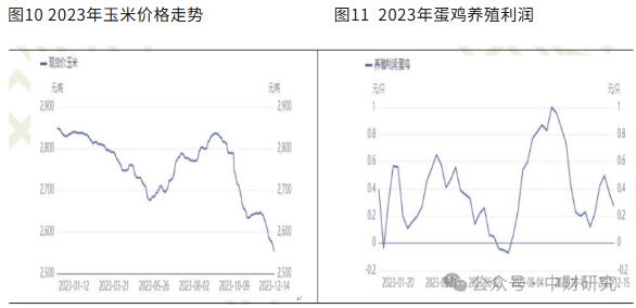 69312bec58f76.png 69312bec58f76.png